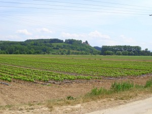 DSCI0360-Burg-Lichteneck2-kl