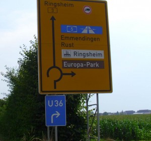 Schild-Rust